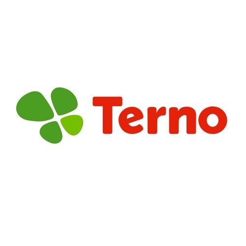 Terno