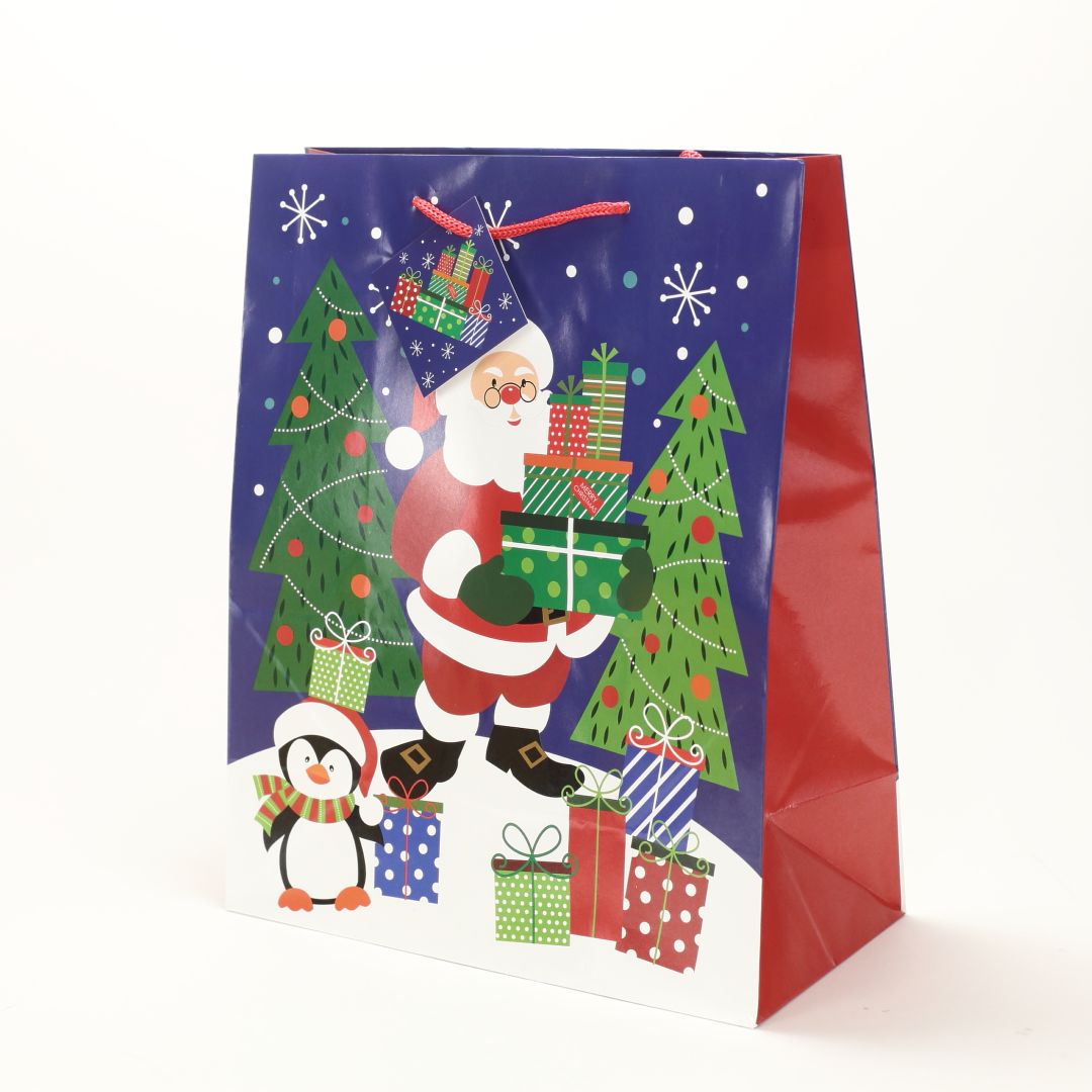 Darčeková taška TG-30S vianočná